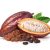 Cacao