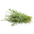 Thyme 01